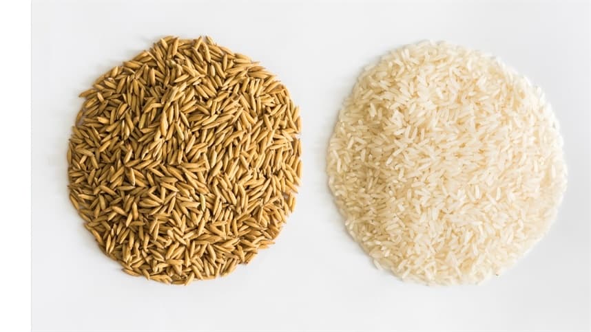 Arroz e feijão avançam no Rio Grande do Sul