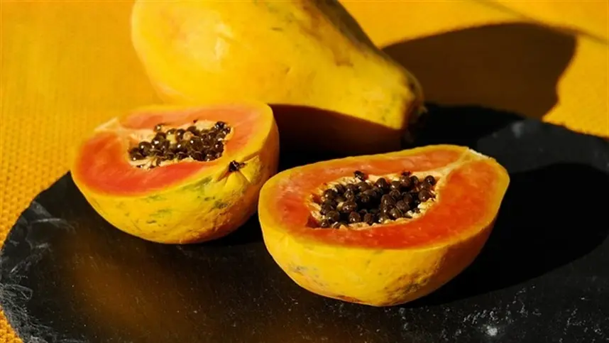 Com chuvas, produtores de mamão antecipam colheita