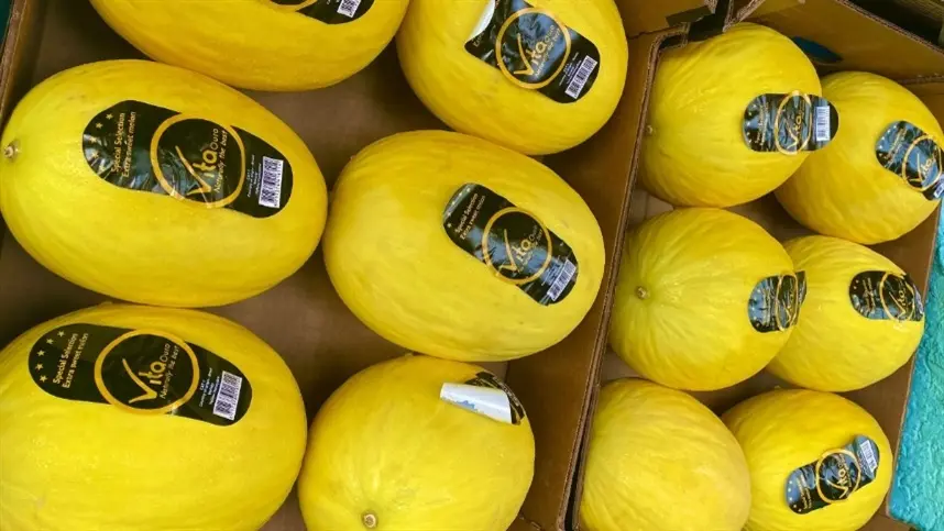 MS: Tomate e melão lideram alta de preços