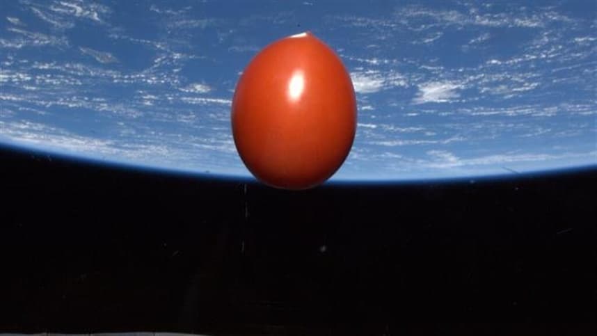 Astronautas levam tomate na bagagem