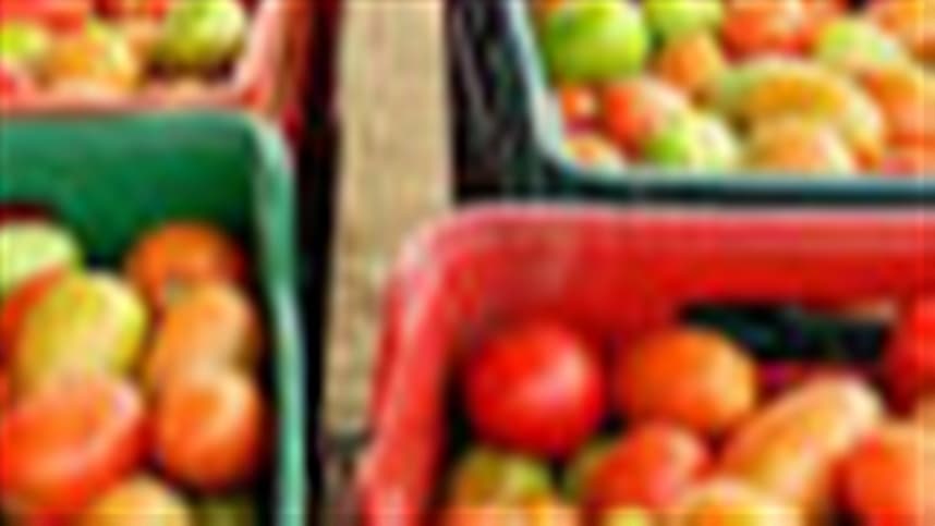 Tomate: preço em alta e queda no atacado