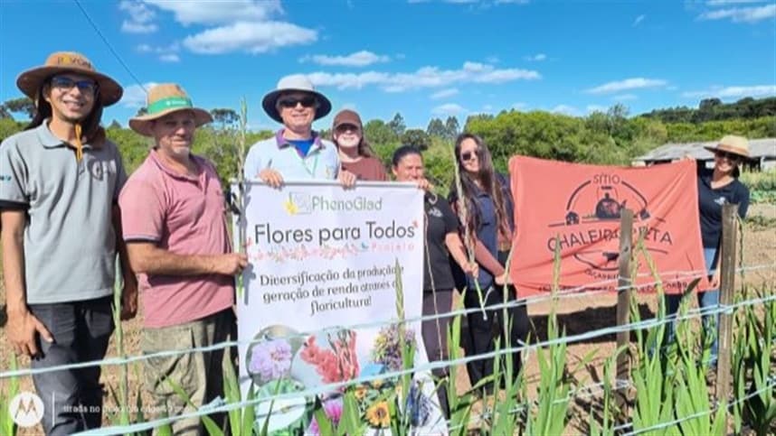 Caçapava do Sul registra primeira colheita de gladíolos