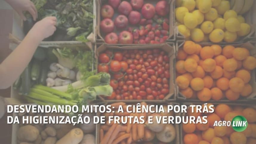 A ciência por trás da higienização das frutas e verduras