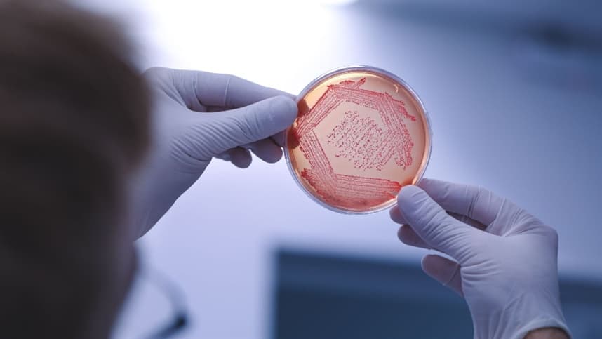 A preocupação com a saúde do solo e com a eficiência nutricional aparece como outro fator relevante