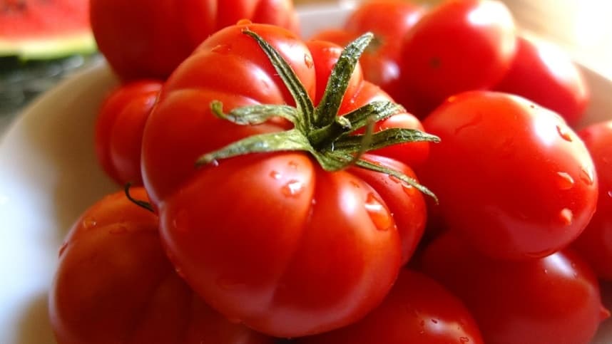 O Ohkami utiliza o composto Tolfenpyrad como seu ingrediente ativo