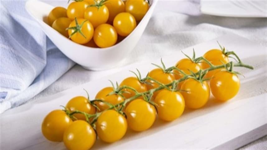 Depois do tomte roxo, agora é a vez do tomate amarelo