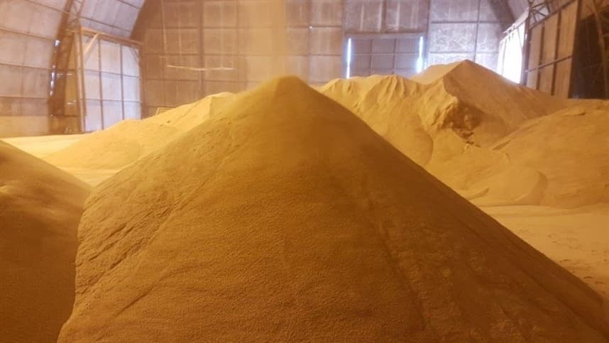 Empresa de rações vai ampliar fábrica no MS