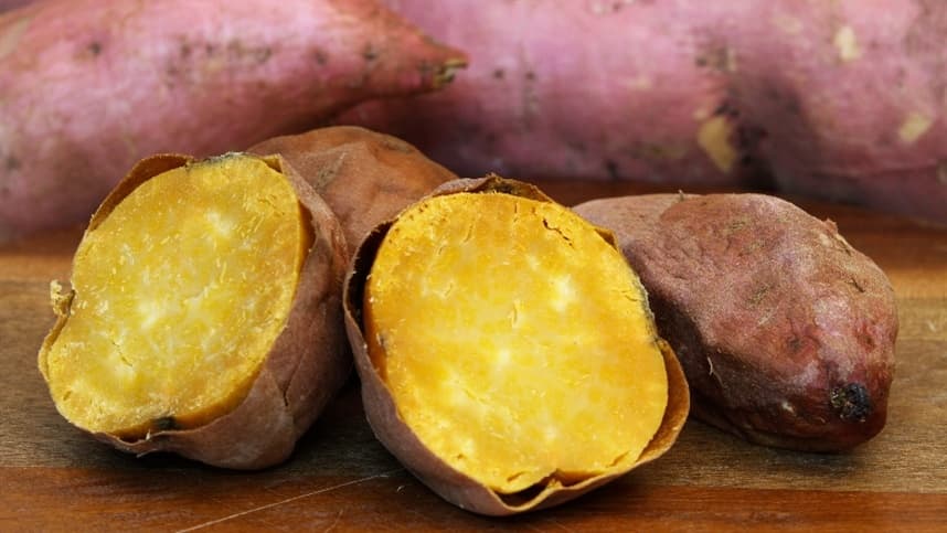 Embrapa abre edital para licenciamento da batata-doce BRS Prenda