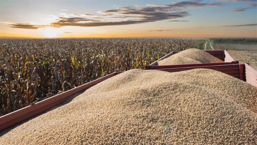 Comissão de Agricultura debate cobrança de royalties na produção de soja