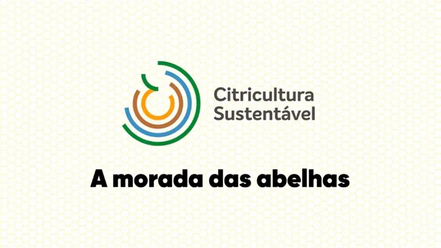 A morada das abelhas