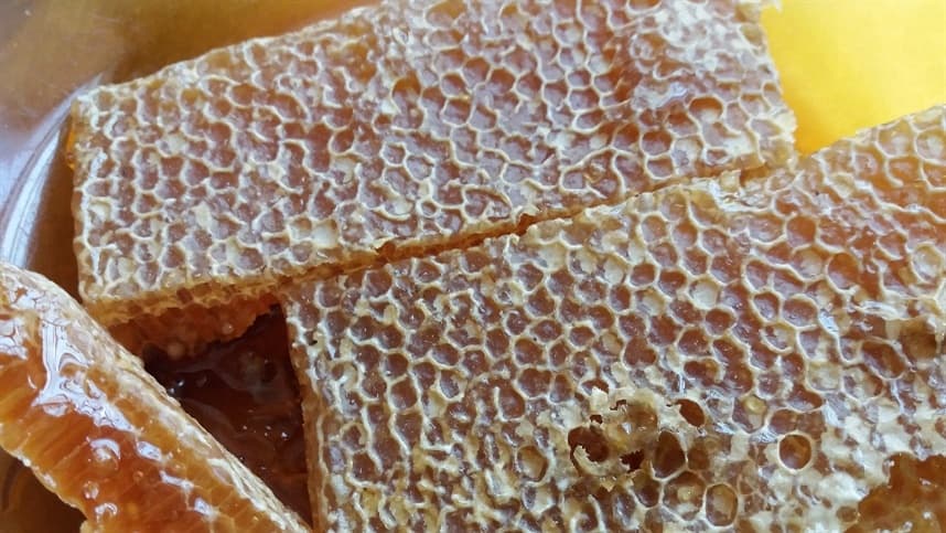 Pesticida mortal para as abelhas pode ser detectado no mel