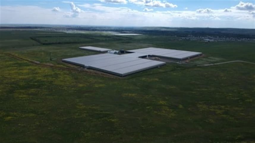 Estufa de tomate com dez hectares produz 8.000 toneladas