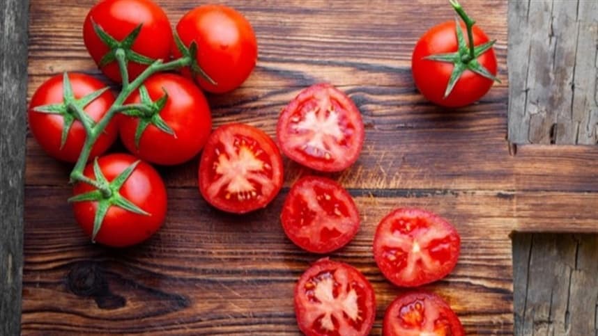Quiz - teste seus conhecimentos sore doenças no tomate