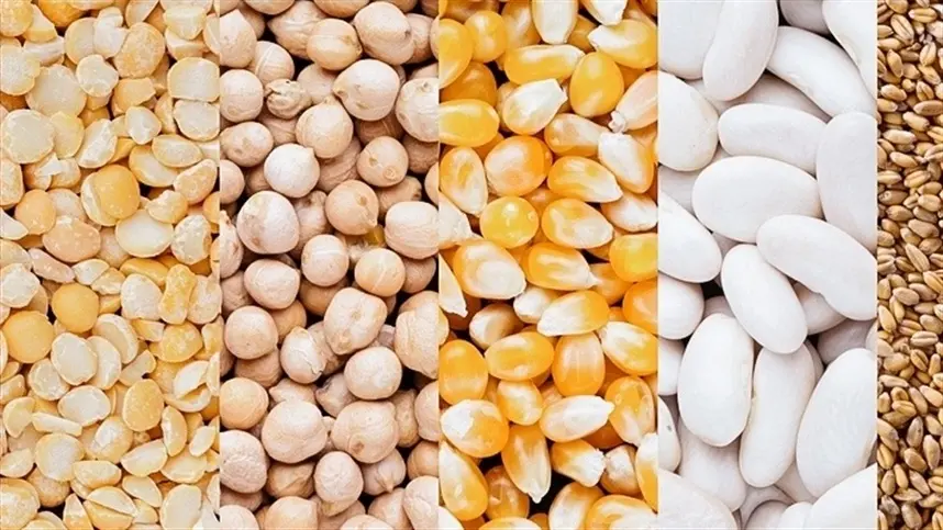 Índice de Preços dos Cereais da FAO subiu