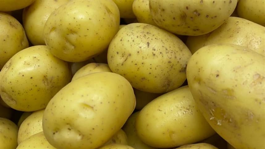 Cotações recuam com avanço da colheita da batata