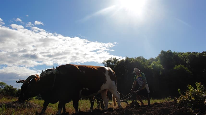 Lei desobriga mais de mil pequenos agricultores de pagar taxas
