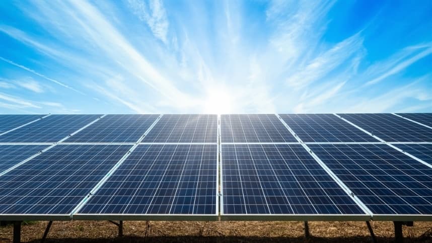 Painéis fotovoltaicos podem ajudar no cultivo de tomate
