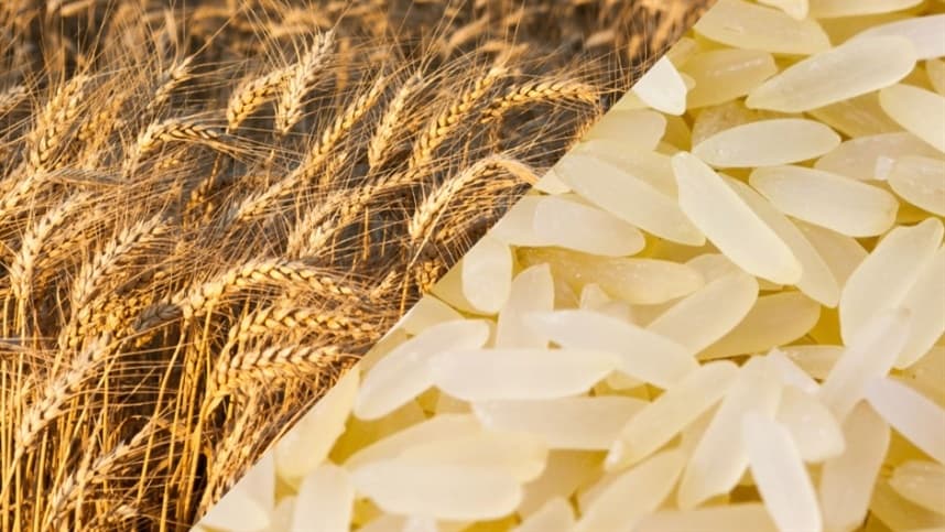 Safra de arroz supera média dos últimos 5 anos