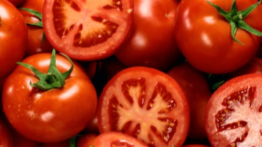 Nível recorde nos preços do tomate