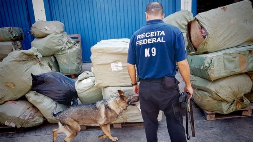 Brasil treina novos operadores de cães