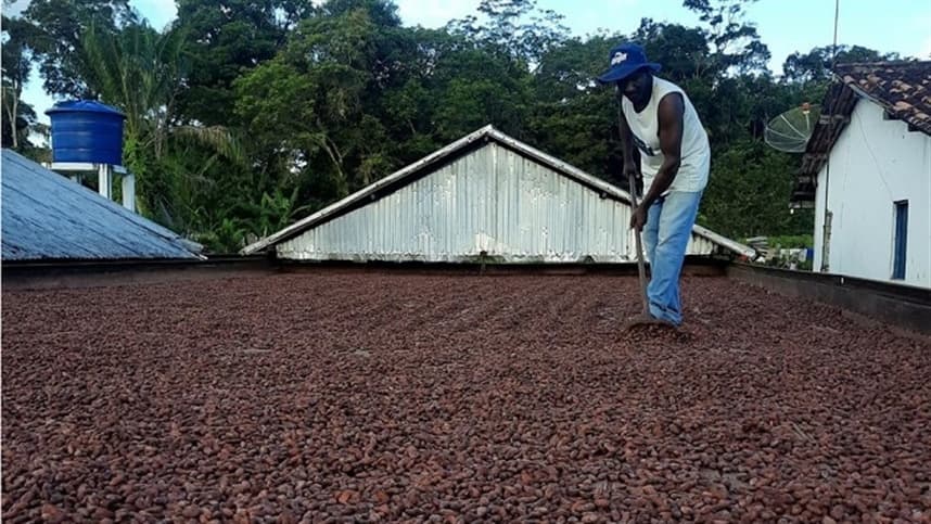 Projeto visita produtores de cacau do Sul da Bahia