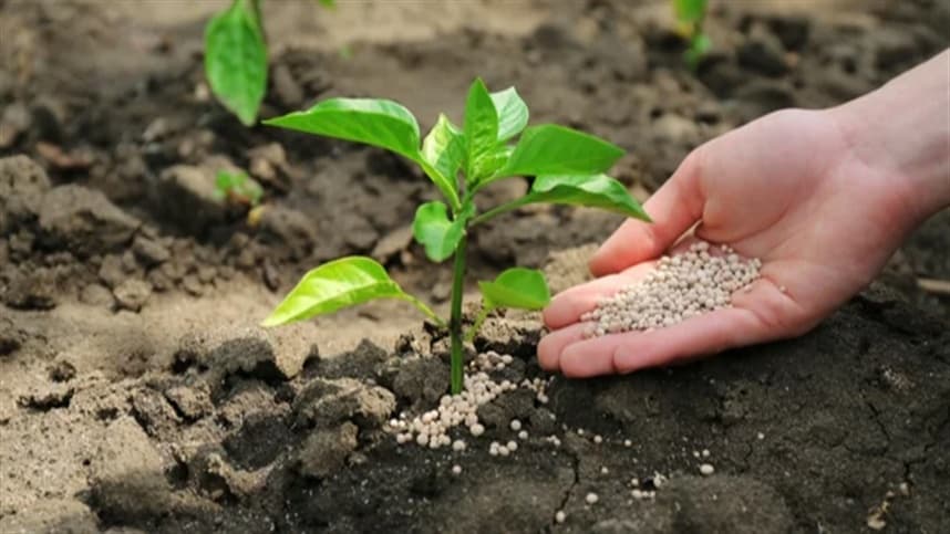 Minas Gerais irá produzir fertilizante verde