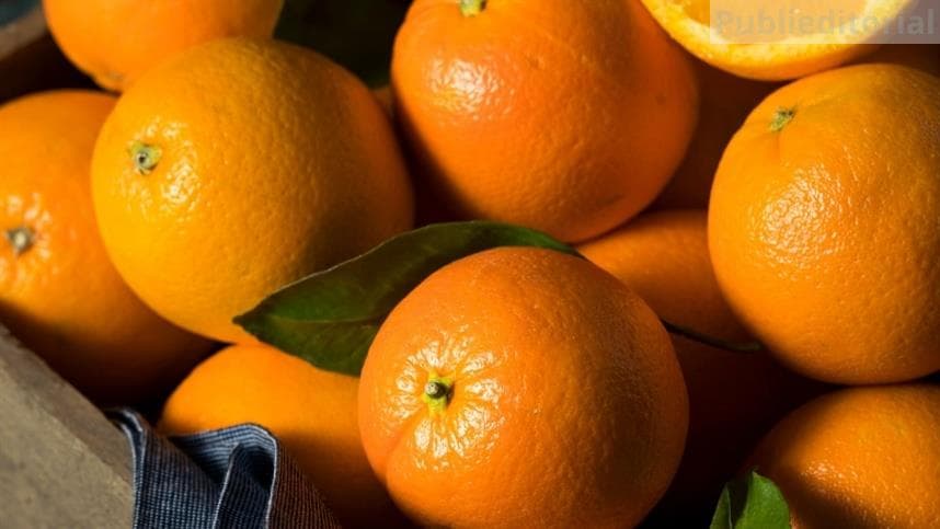 Produtores de citros enfrentam desafios fitossanitários