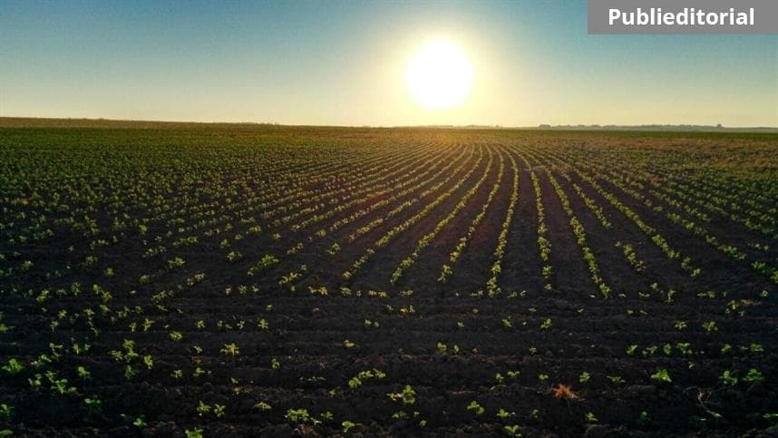 PB: rede de informantes agropecuários é atualizada no estado