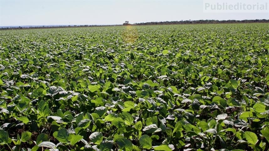 Tecnoagro inicia nesta terça-feira
