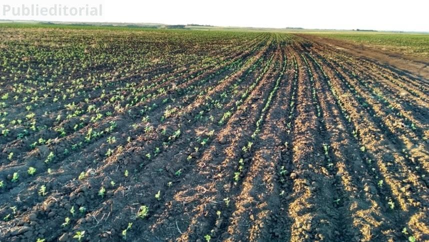 Alta na subvenção do seguro rural será destaque