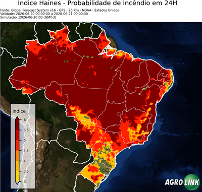 24 horas