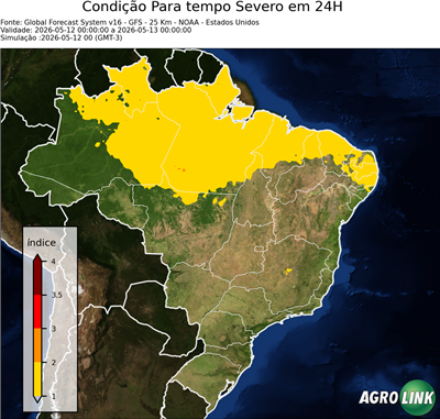 24 horas