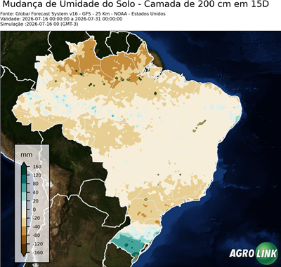 15 dias