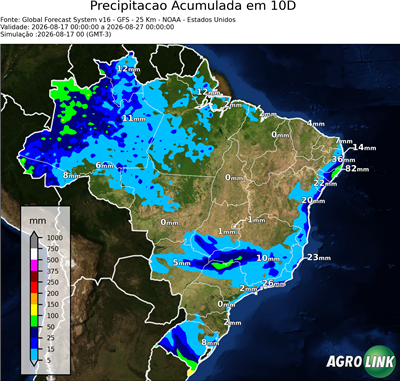 10 dias