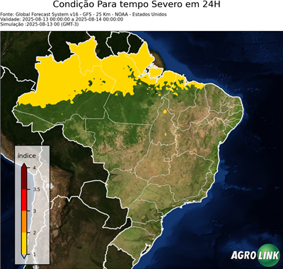 24 horas