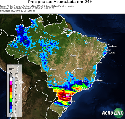 24 horas