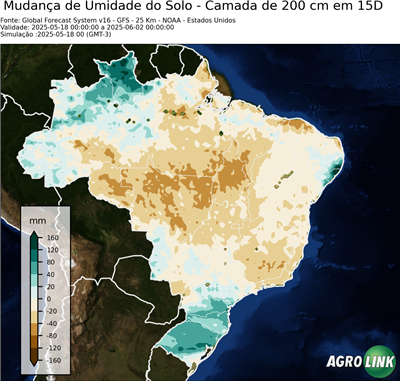 15 dias