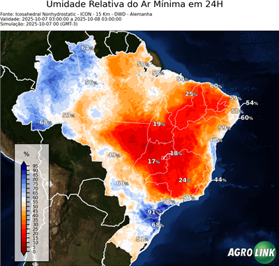 24 horas