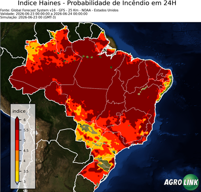 24 horas
