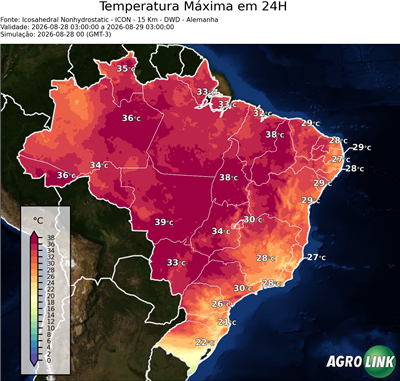 24 horas
