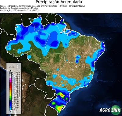15 dias