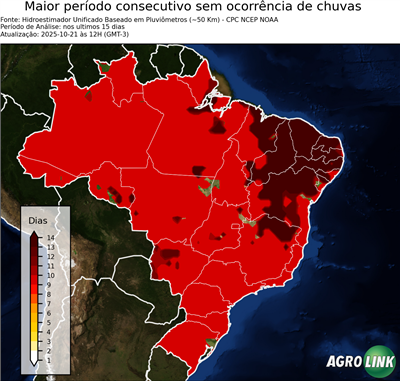 15 dias
