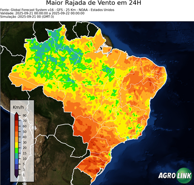 24 horas