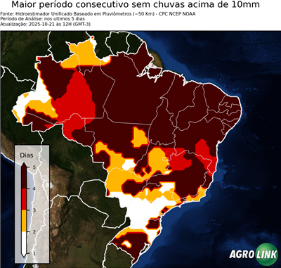 5 dias