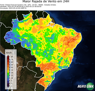 24 horas