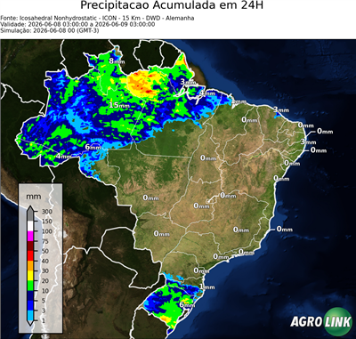 24 horas