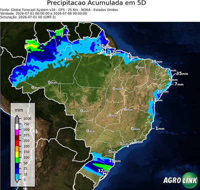5 dias