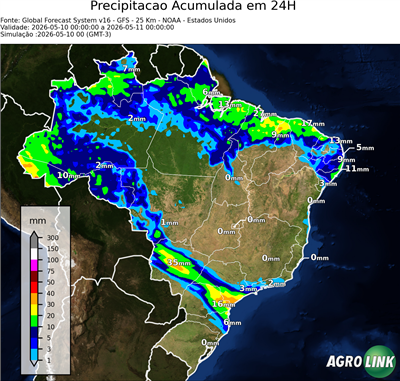 24 horas