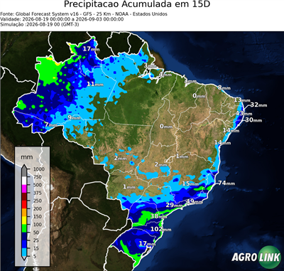 15 dias