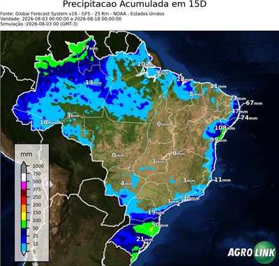 15 dias